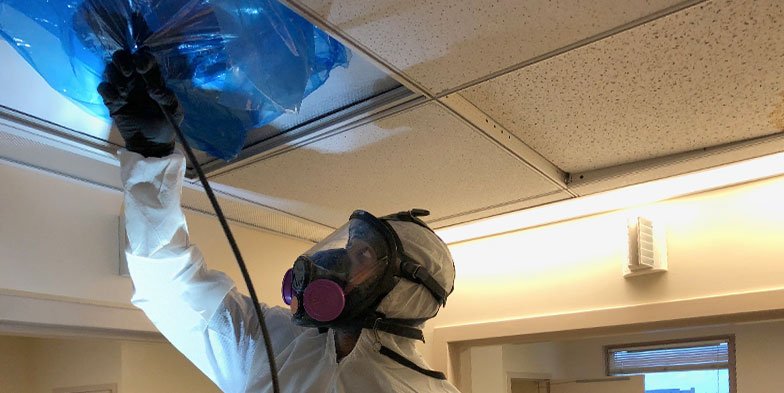 Same Day Duct Cleaning SK